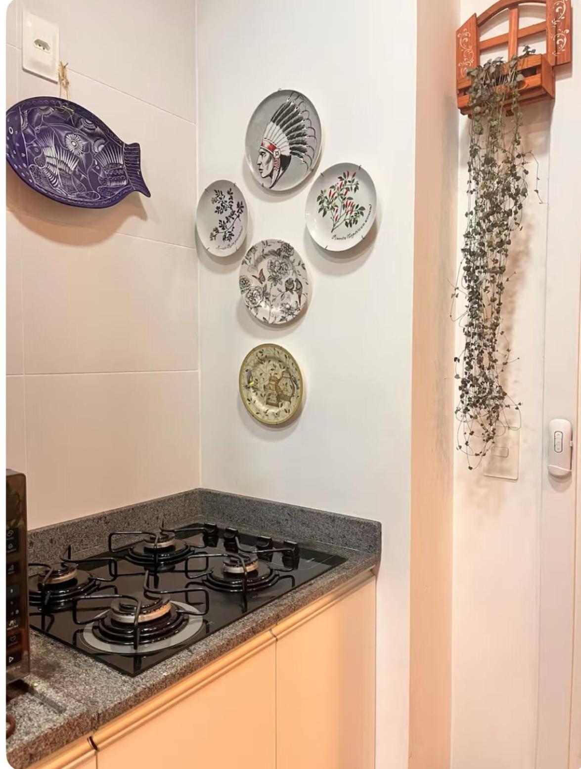 Luxuoso Completo Com Garagem Apartamento Pelotas